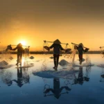 pexels quang nguyen vinh 222549 2163950