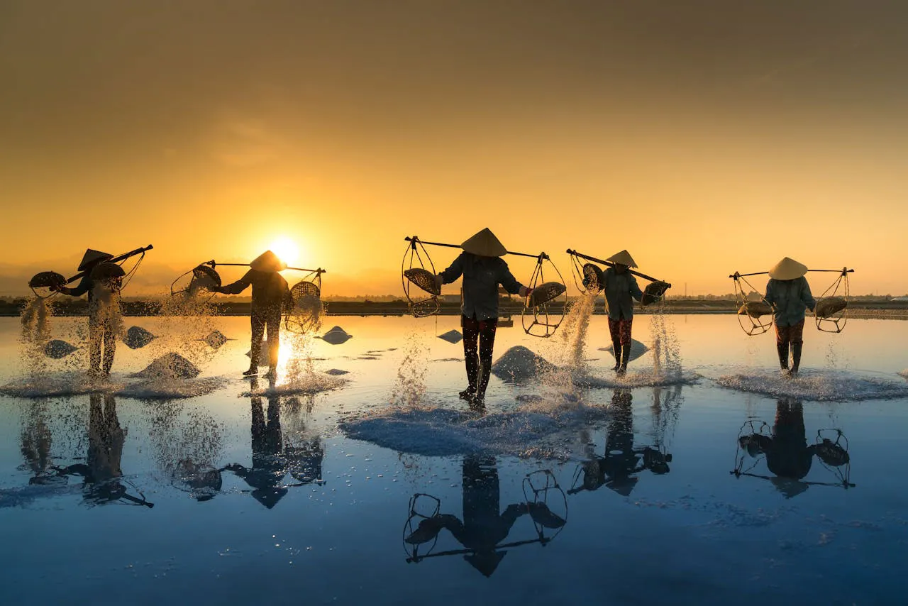 pexels quang nguyen vinh 222549 2163950